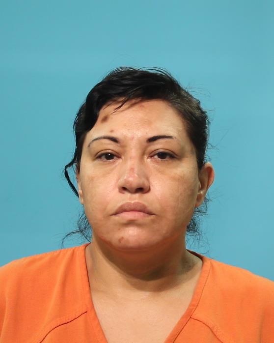 Reyna, Elizabeth booking photo
