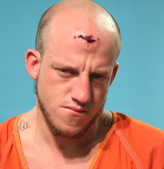 Reed, Warren Matthew booking photo