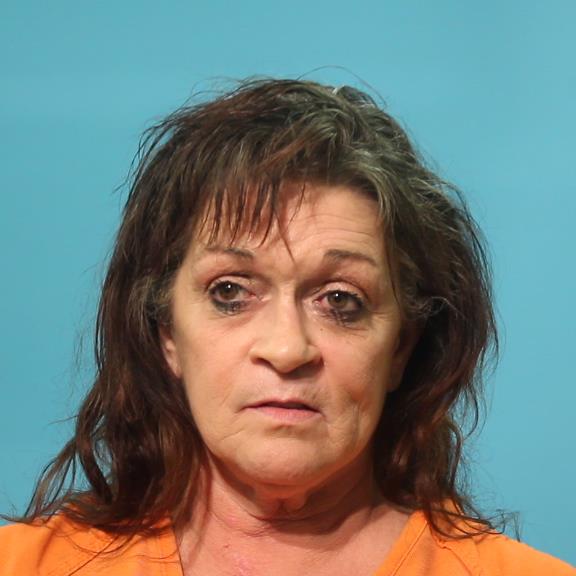 Theis, Dana Hollis booking photo