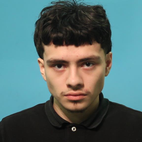 HERRERA, HUGO booking photo