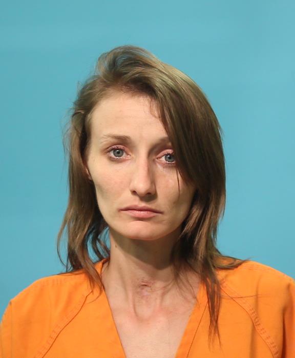 JOHNSON, MEAGAN RENEAL booking photo