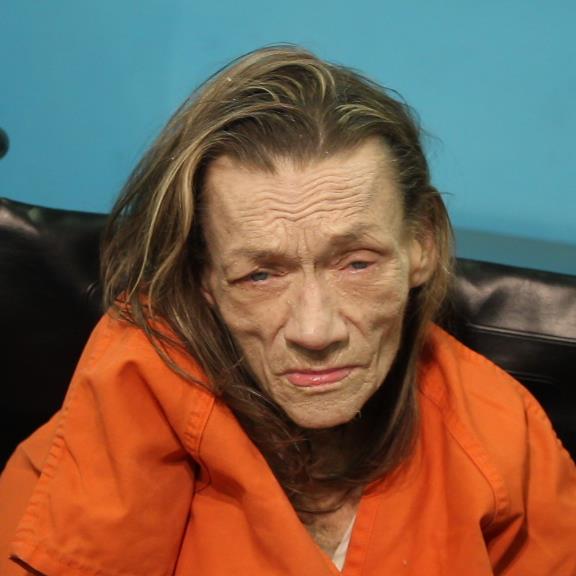 Faris, Nancy Steen arrested by Pearland Police Department