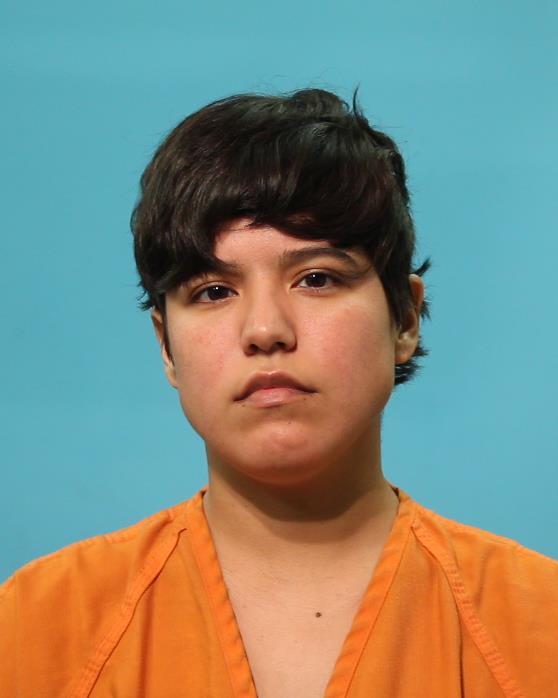 Jaime, Desiree Nicole arrested by Alvin Police Department