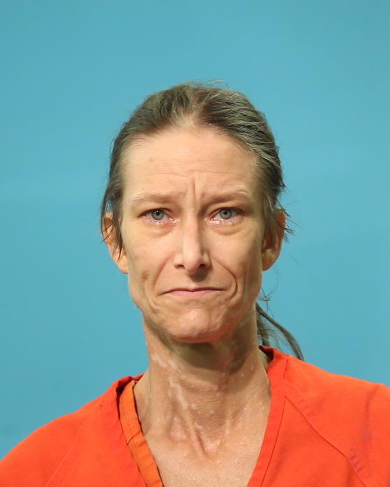 Holcomb, Erika Rae booking photo