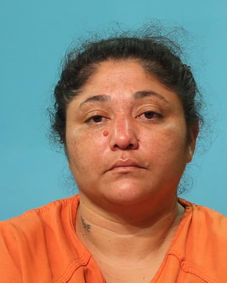 Garcia, Erica Nicole booking photo