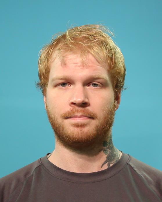 REED, SHAWN MICHAEL booking photo
