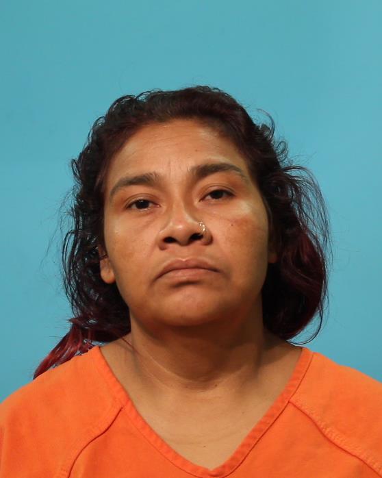 CRUZ RODRIGUEZ, MARIA DELAPAZ arrested by Pearland Police Department