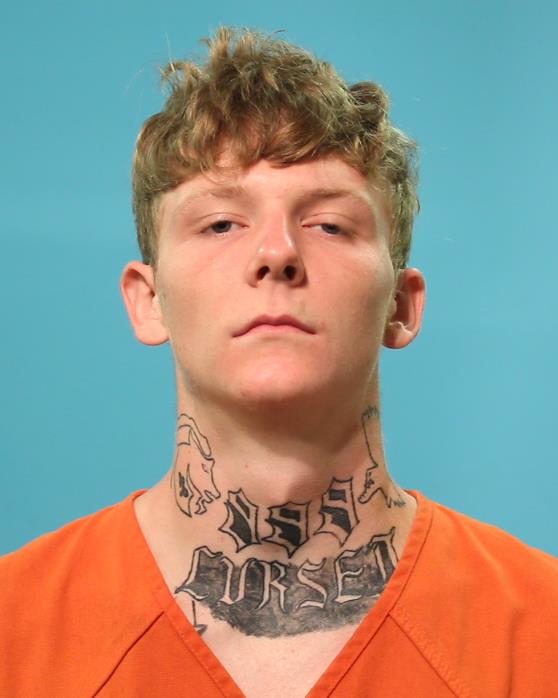 WILLIAMS, MICHAEL arrested by Department of Public Safety