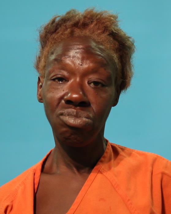 Stell, Tammy Nicole arrested by Pearland Police Department