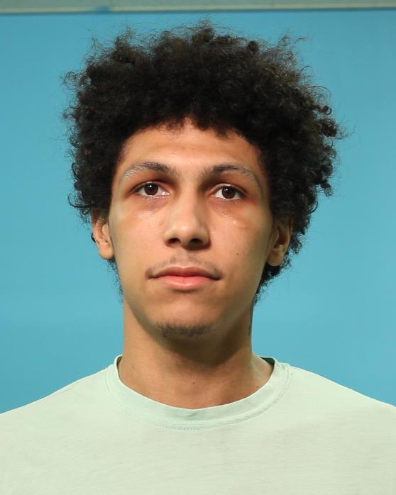 Johnson, Aaron Lamart booking photo