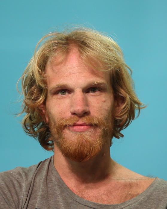 LEEBALL, RONALD booking photo