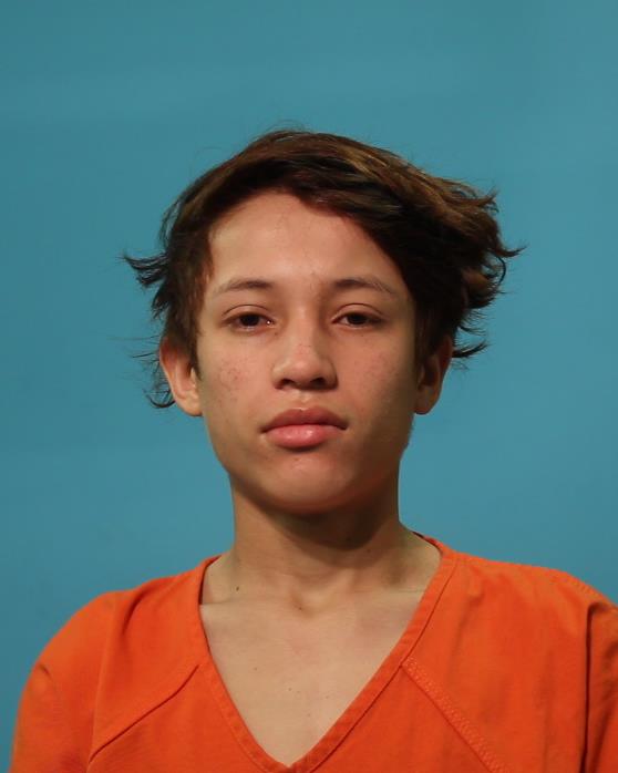 SANCHEZ CANELAS, ALEX DAVID arrested by Pearland Police Department