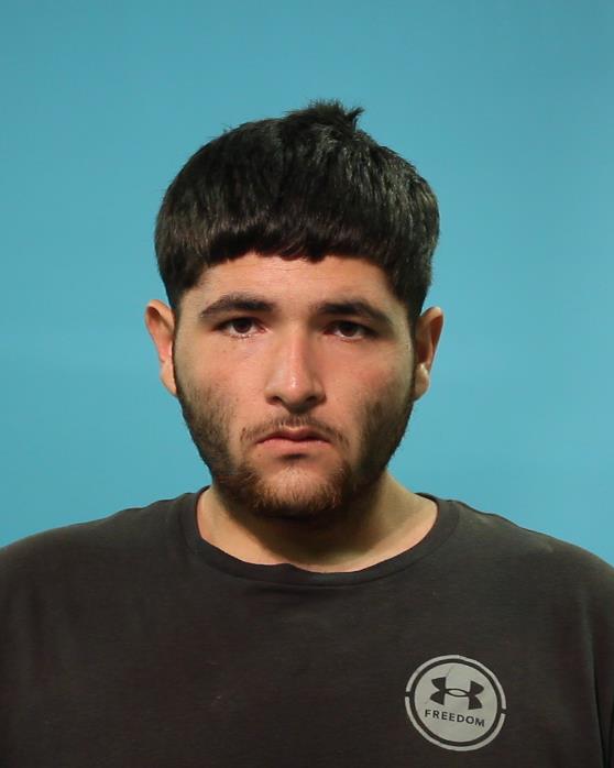 Perales, Alexis Cruz booking photo