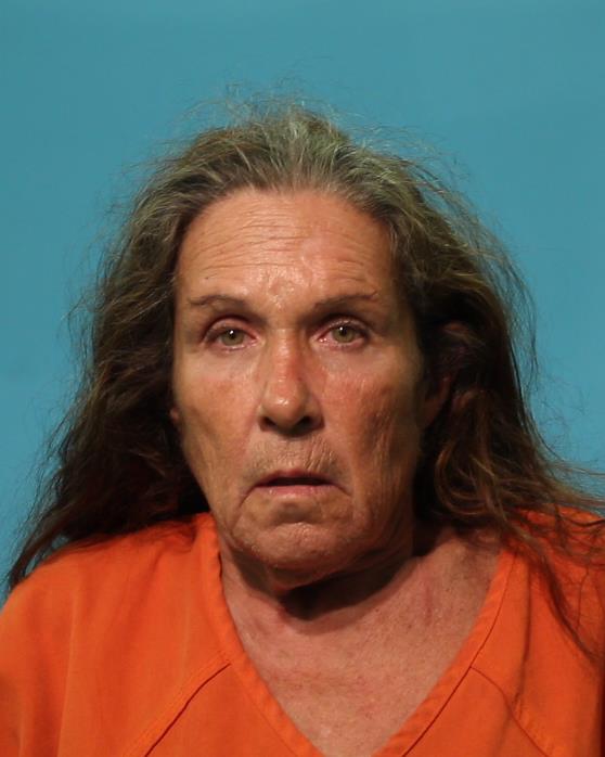 HOBBS, LISA arrested by Alvin Police Department