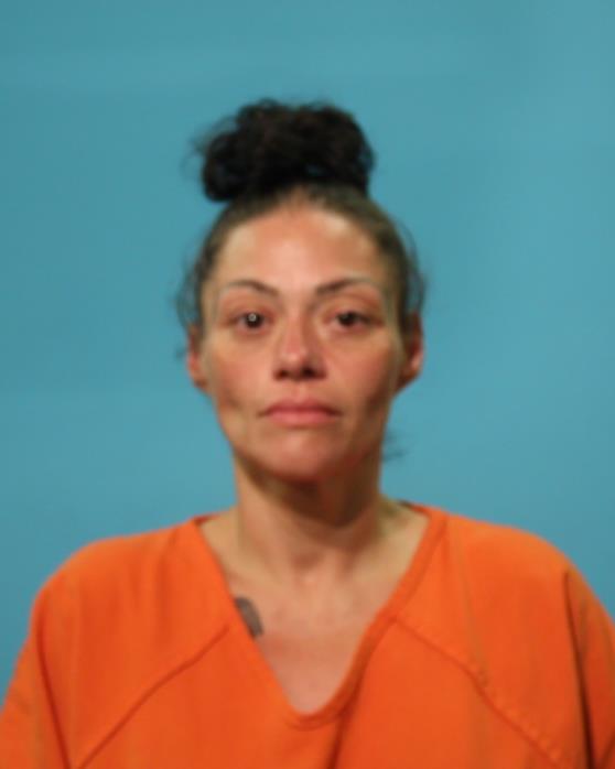 VALDIVIESO, MICHELLE MARIE arrested by PUBLIC INTOXICATION