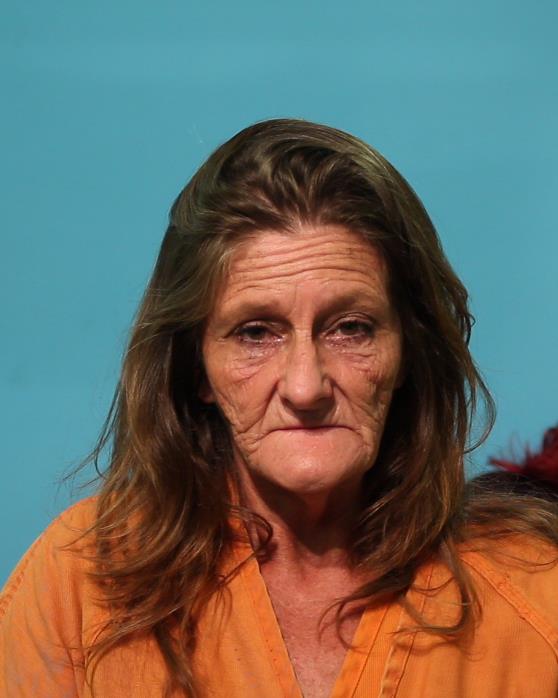 Silvia, Tina Joy booking photo