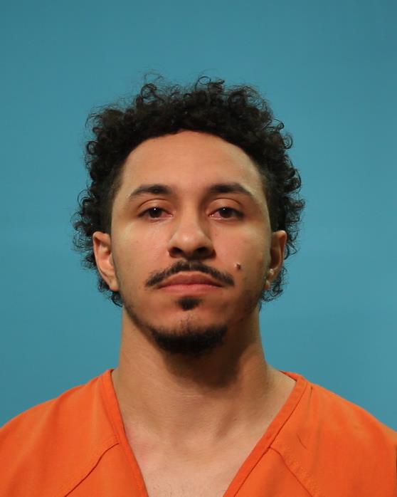 HAMILTON, DAVID booking photo