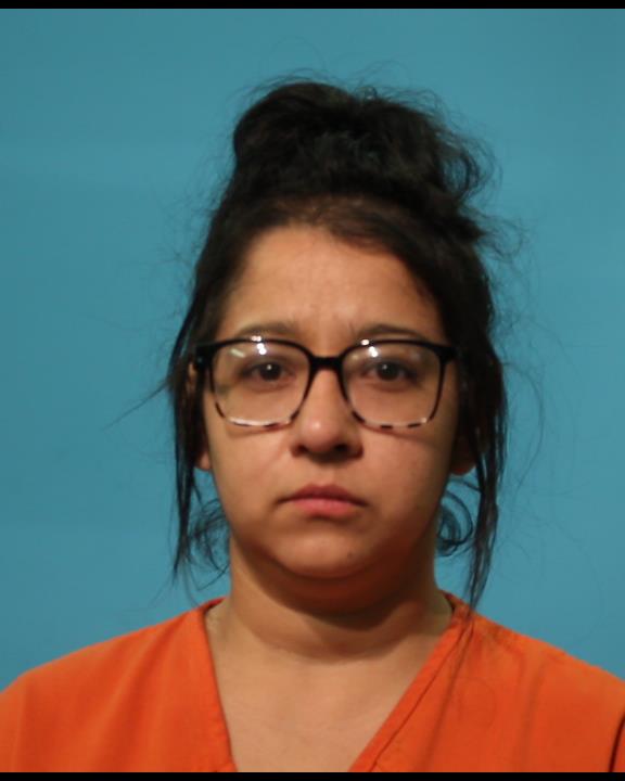 GARZA, PRISCILLA booking photo
