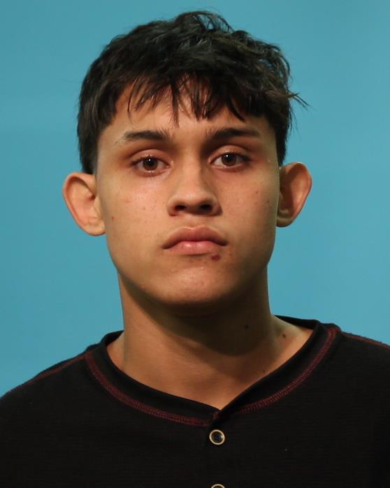 MARTINEZ BENITEZ, DENNIS booking photo