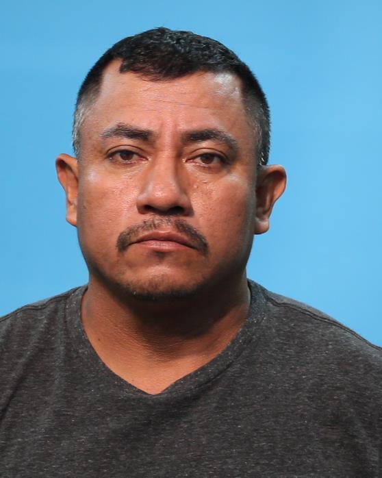 MARIA-NAVARRETE, NICOLAS booking photo