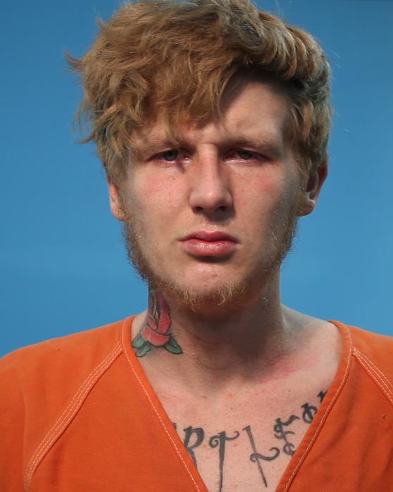 Vienneau, Dillon Scott booking photo