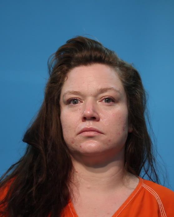 DAVIS, SARA arrested by Pearland Police Department