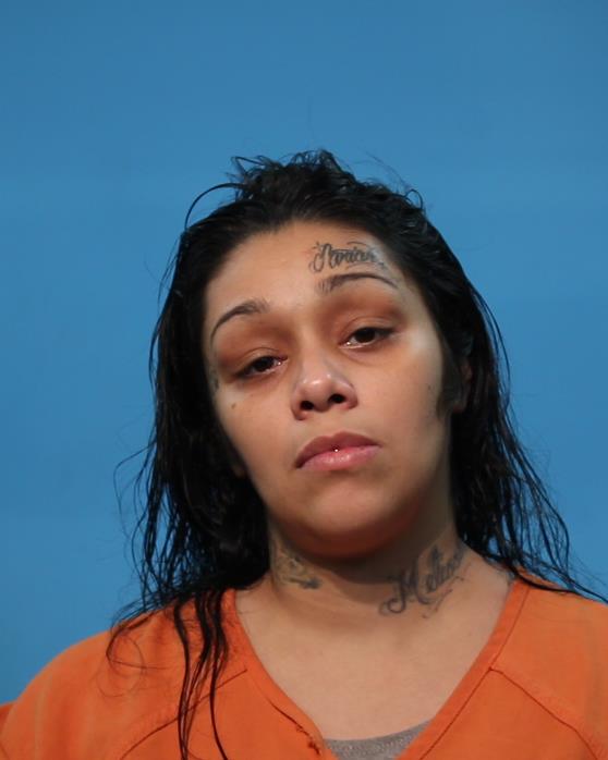 Hernandez, Avelina Montoya booking photo