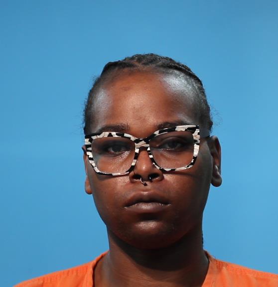 Evans, Skylar KIMBREA arrested by Pearland Police Department