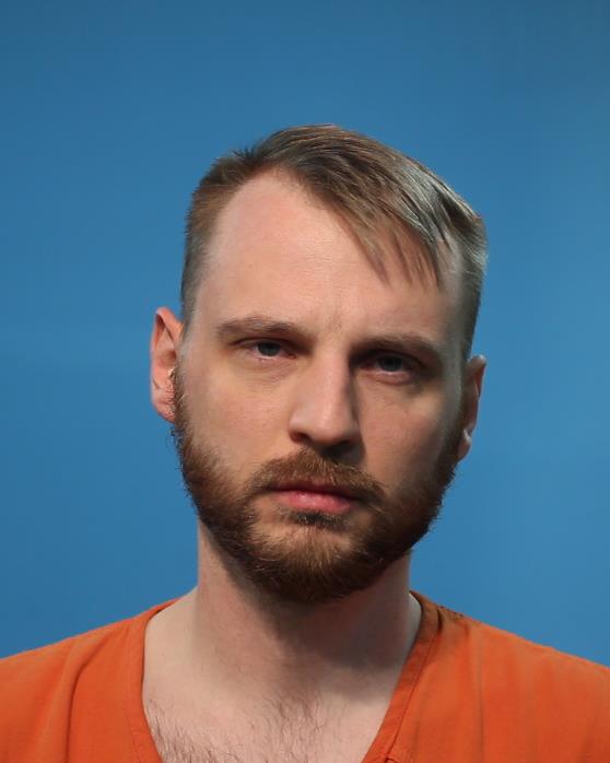 Davison, Andrew Phillips booking photo