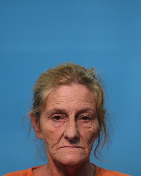 Silvia, Tina booking photo