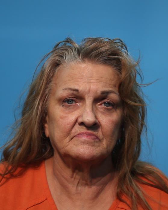 Holley, Karen Lynn booking photo