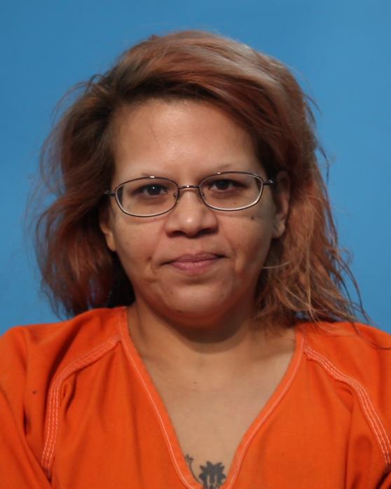 Ramirez, Livia Ann booking photo