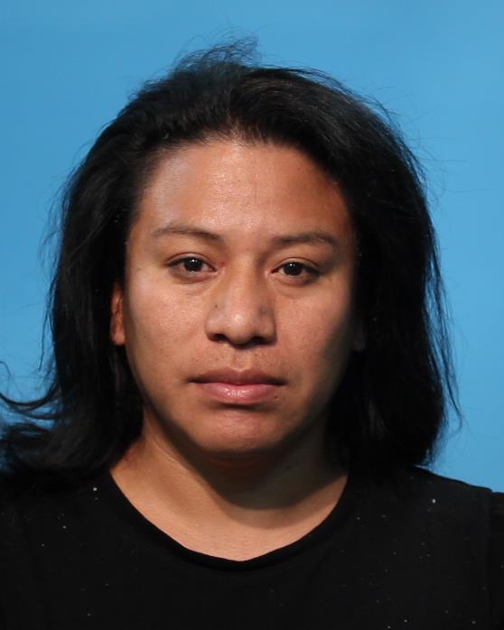 PEREZ PEREZ, WUELMAR PEDRITO F booking photo