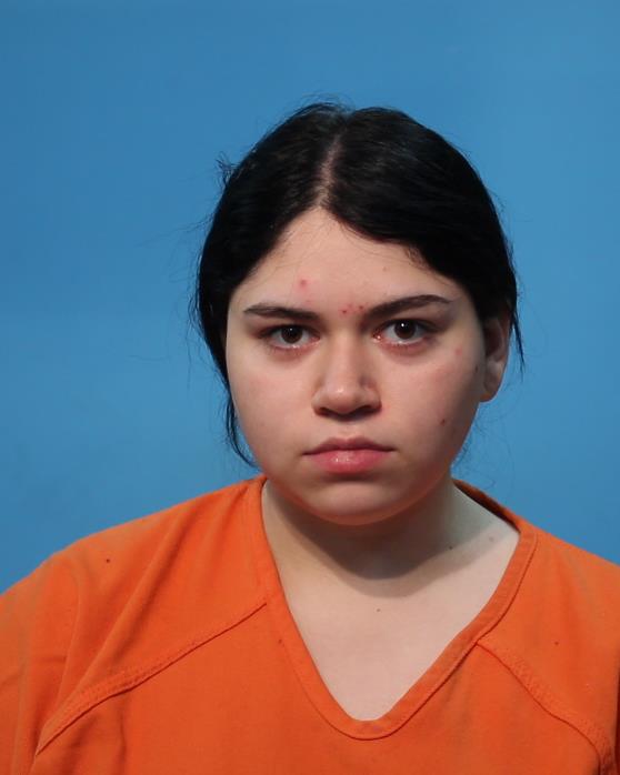 BARRON, ERYLEE REYN booking photo