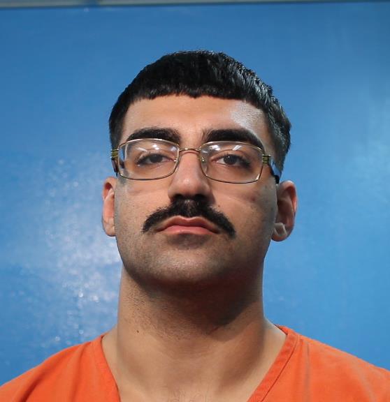 Ebrahimpour, Parsa booking photo