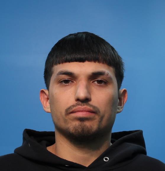 Perez, Johnathan Nicholas booking photo