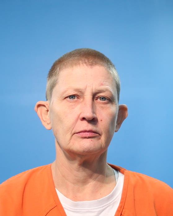 Watson, Susan arrested by Brazoria County Sheriff’s Office