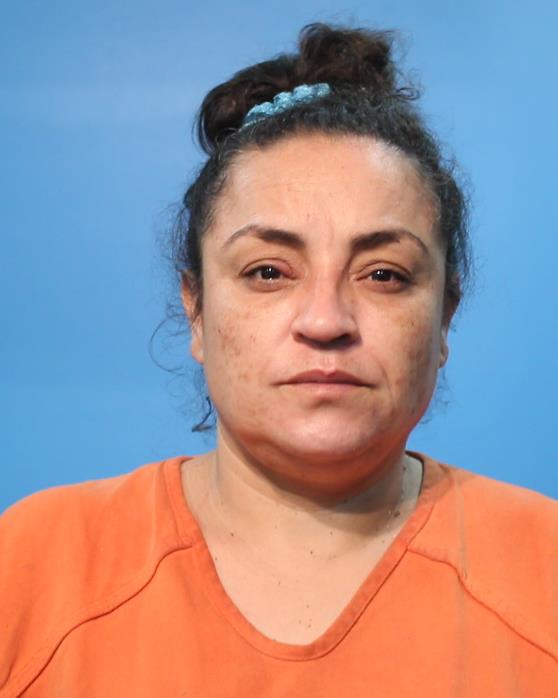 HERNANDEZ, HORTENCIA booking photo
