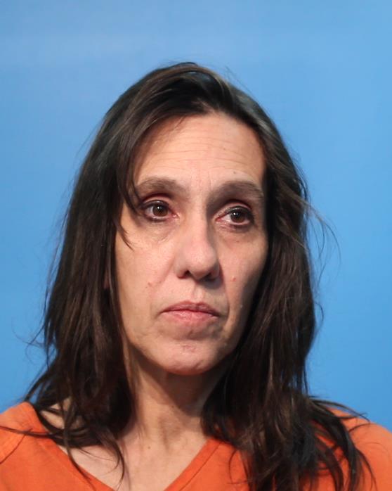 WILDER, DIANA SUE arrested by Brazoria County SO/PD