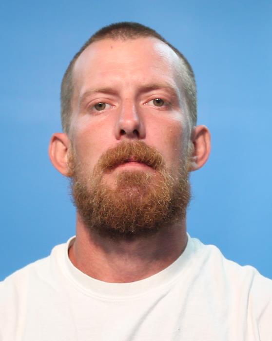 Desimone, Cody LANE arrested by DRIVING WHILE INTOXICATED W/CHILD UNDER 15 YOA