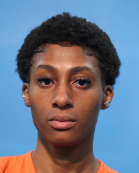 JOHNSON, KAYLA NICOLE booking photo