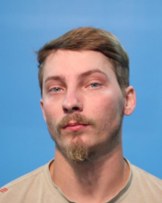 Williamson, Michael booking photo