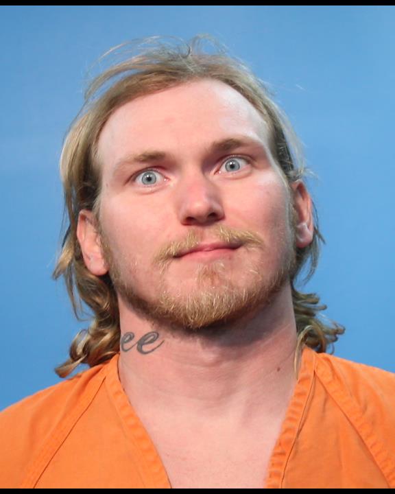 LEE, ROBERT JOSEPH JAMES booking photo