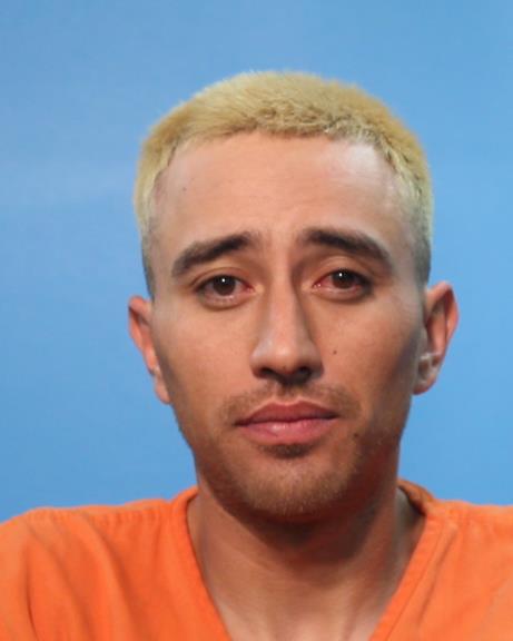 SANCHEZ PEREIRA, DAVID FERNANDO booking photo