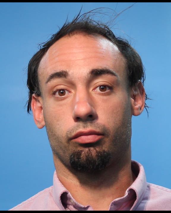 David, James Anthony arrested by SS — RESIST ARREST SEARCH OR TRANSPORT