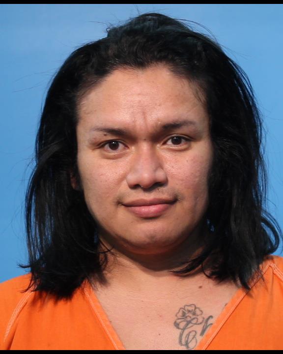 CHAVARRIA GARCIA, DOMINGO arrested by Manvel Police Department