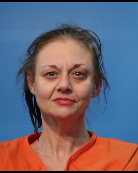 SANDRIDGE-PRODOEHL, JAMIE arrested by Lake Jackson Police Department