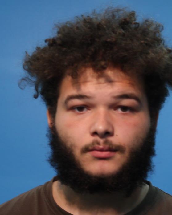 Burns, Tyler Lee arrested by EVADING ARREST DET W/VEH