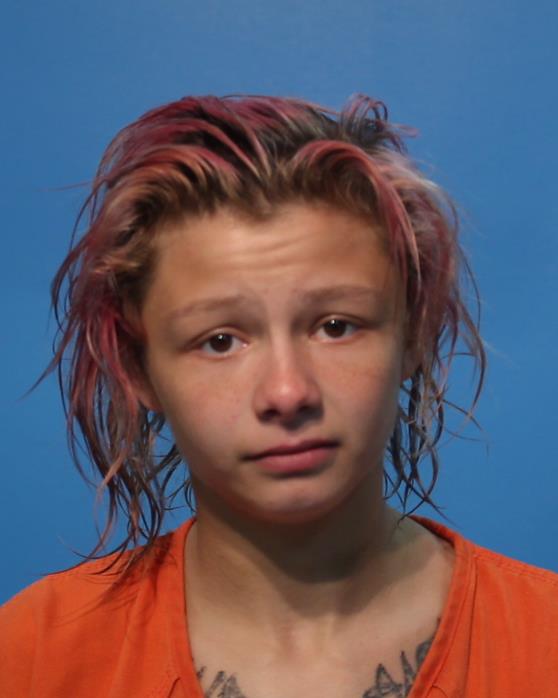 HARDESTY, WILLOW booking photo