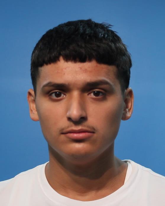 Plata Hernandez, Afredo booking photo